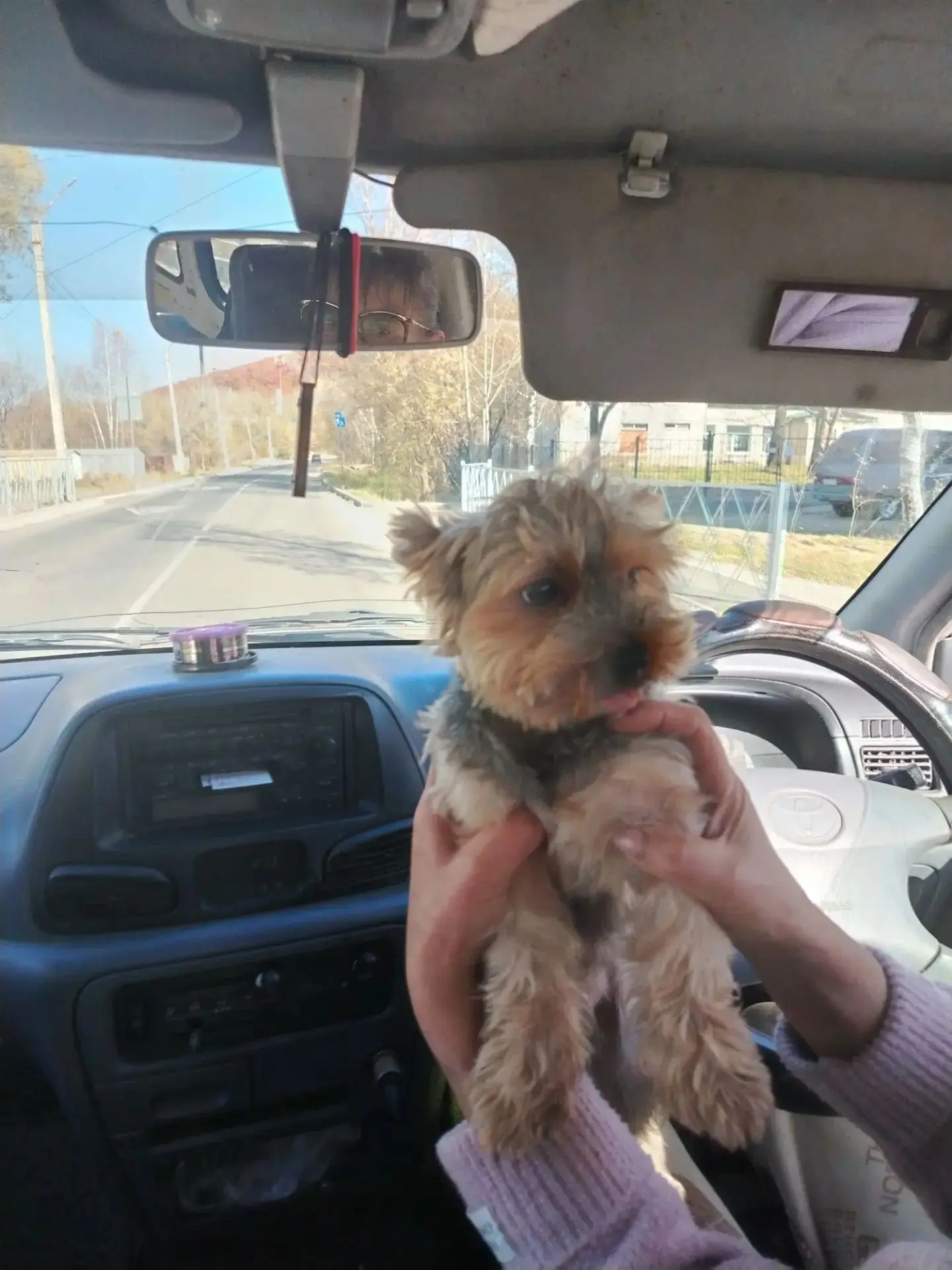 Чья потеряшка?Сегодня, в районе тубдиспансера, найдена собачка🐕Видно что чистинька, по...