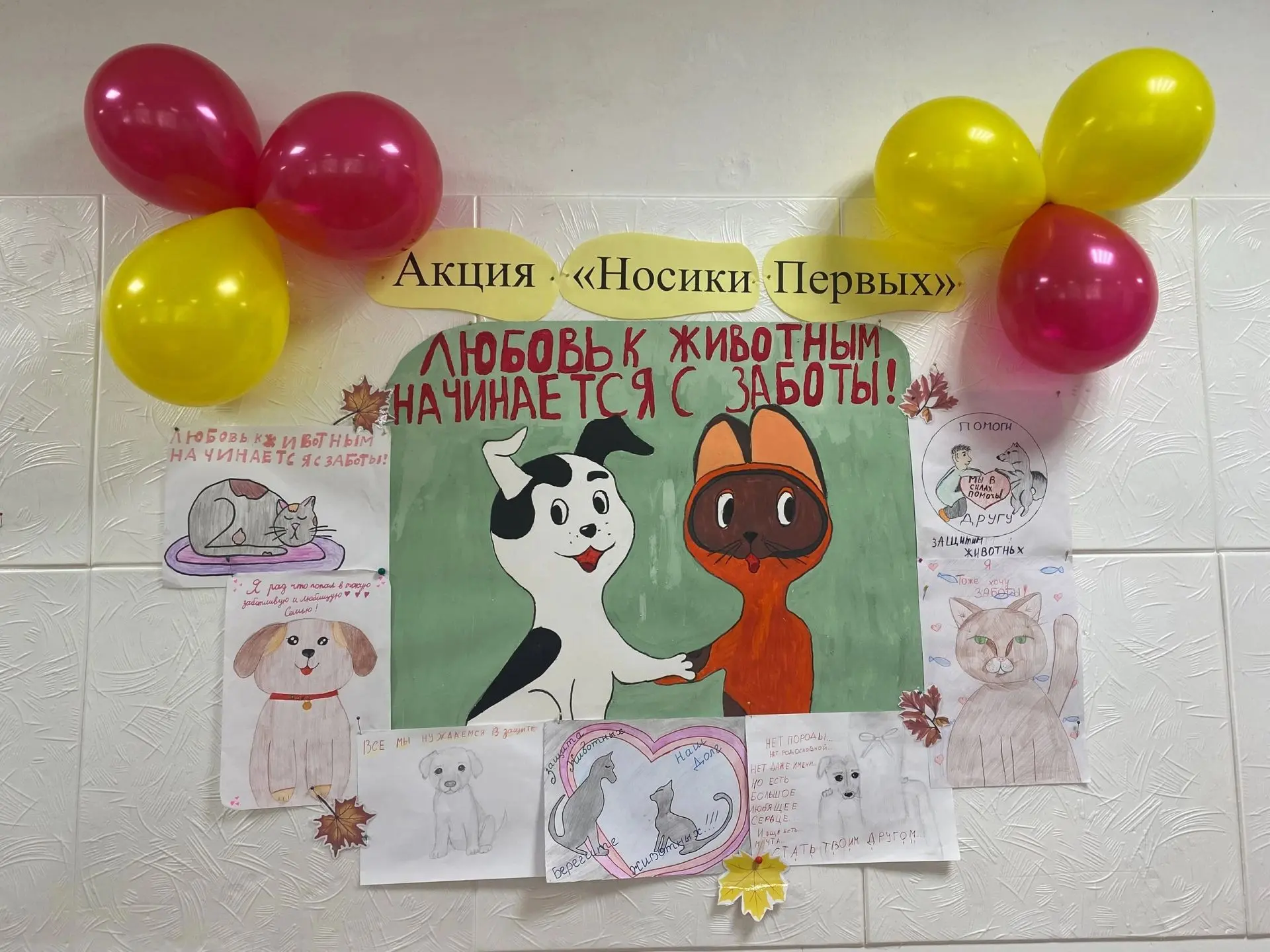 Добрый день! В Комсомольской ООШ проводится акция от Движения Первых "Носики Первых".