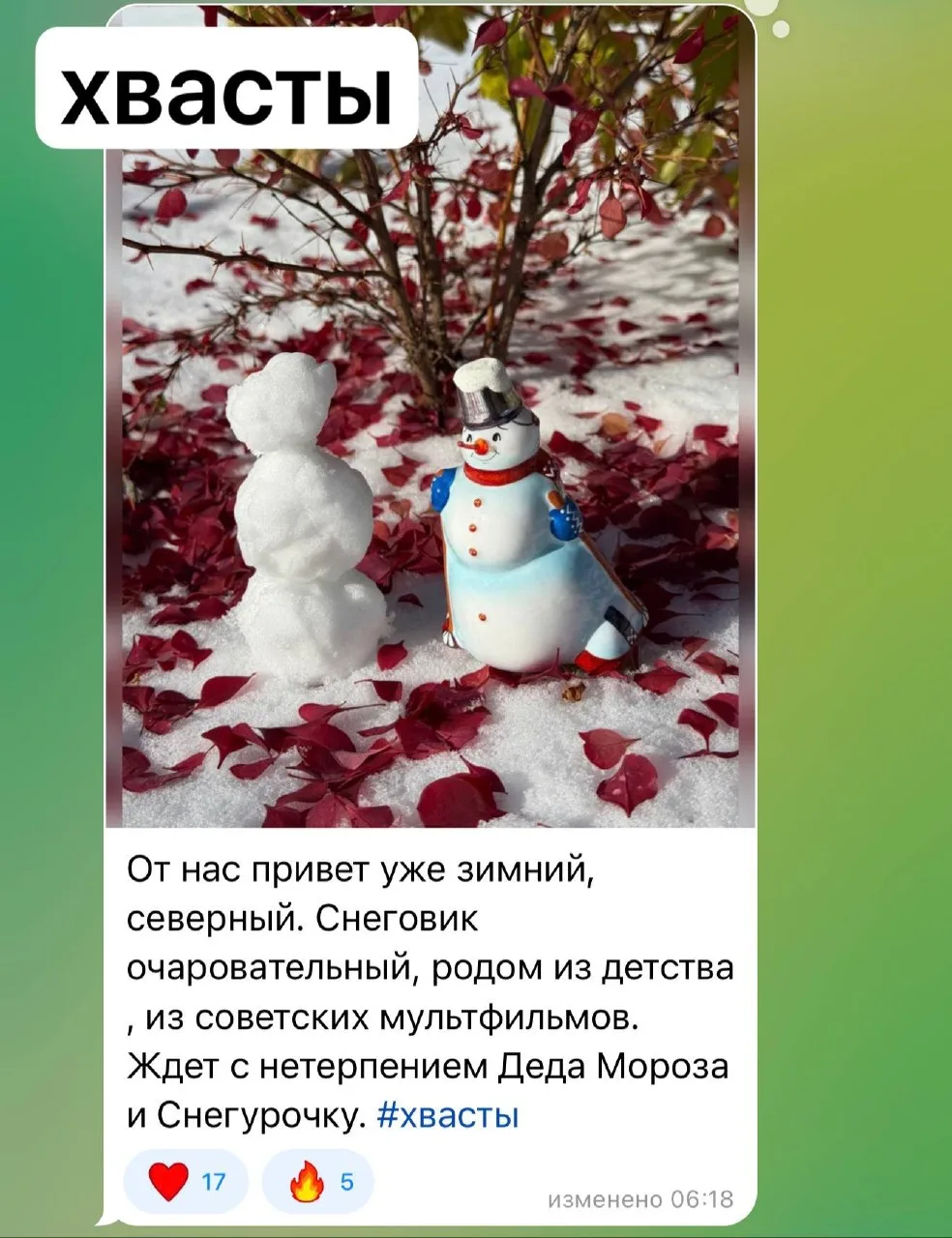 Подоспел и зимний привет от Елены и снеговичка ❄️✨