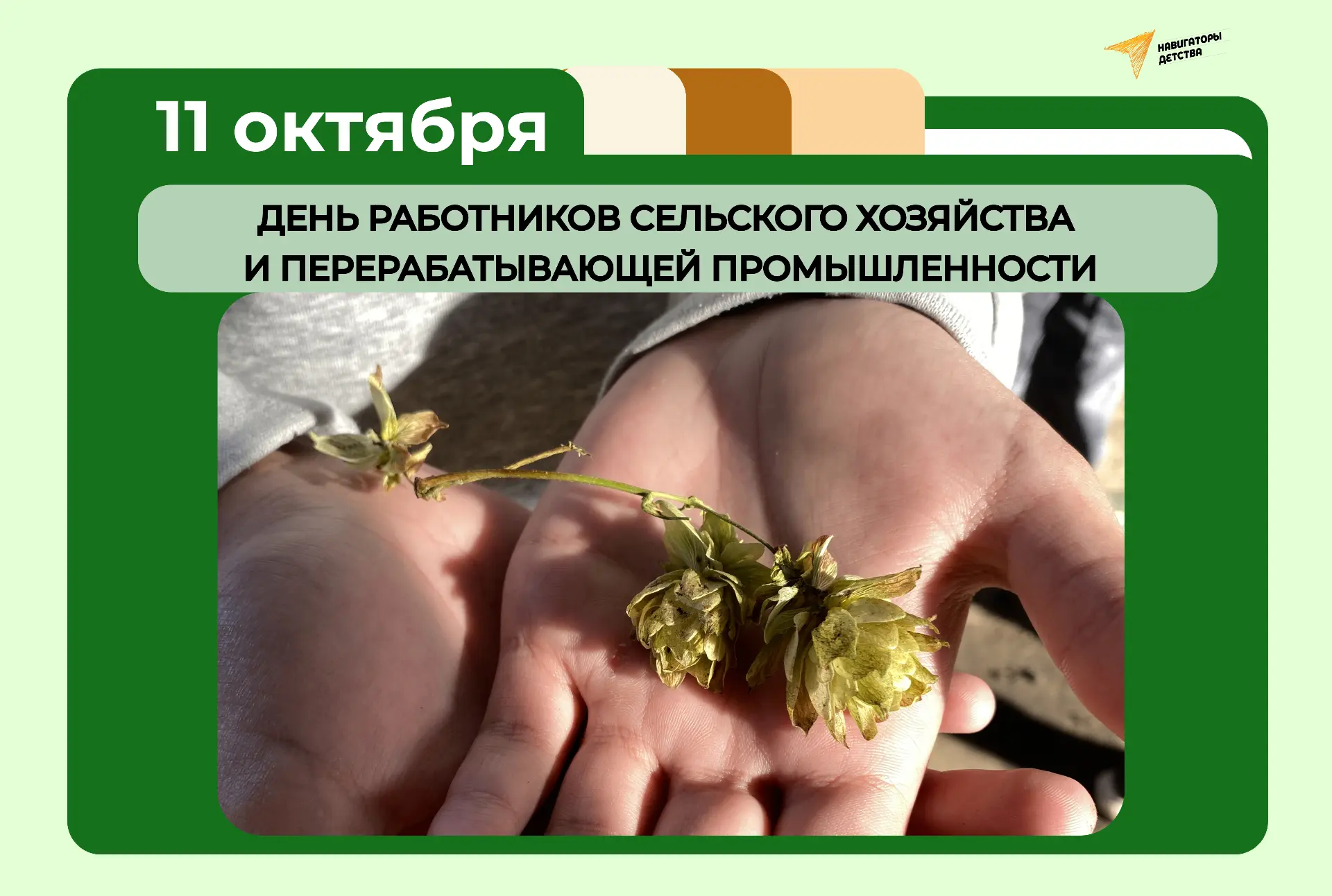 День работников сельского хозяйства и перерабатывающей промышленности 🌾