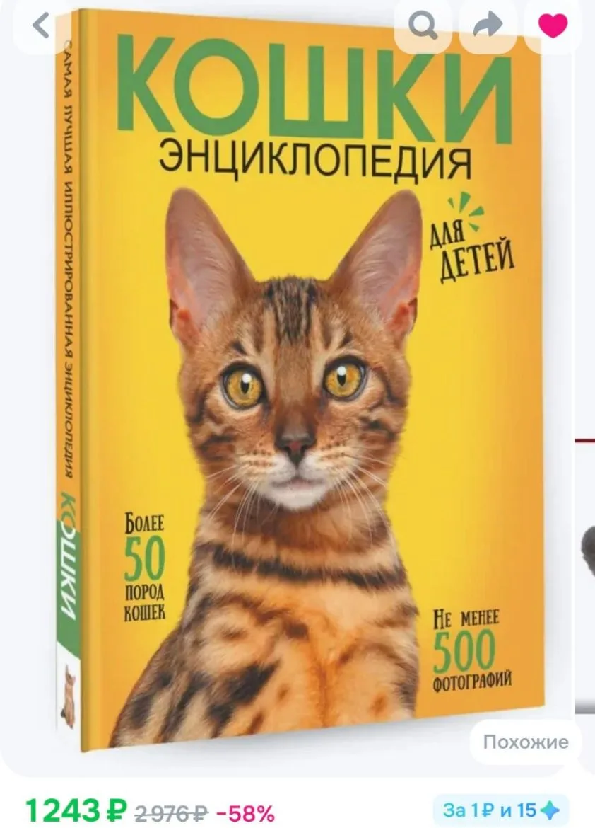 🐱📚 Для маленьких любителей котиков — книжная находка, от которой глаз не оторвать! 😍