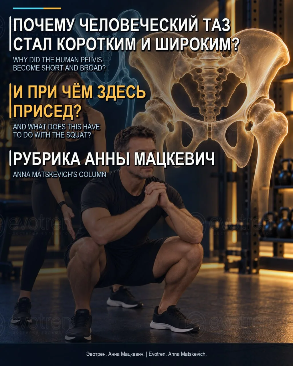 🔥 Почему человеческий таз стал коротким и широким - и почему одинаковый присед подходи...