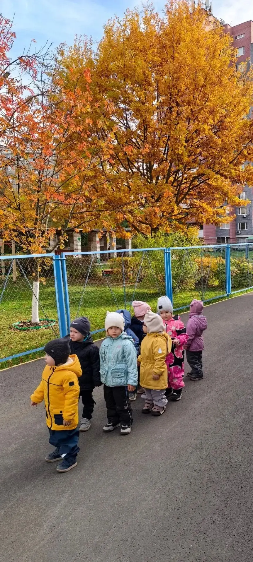 🍁☀️Сегодня наши самые маленькие исследователи из ясельных групп №9 и №11 отправились н...