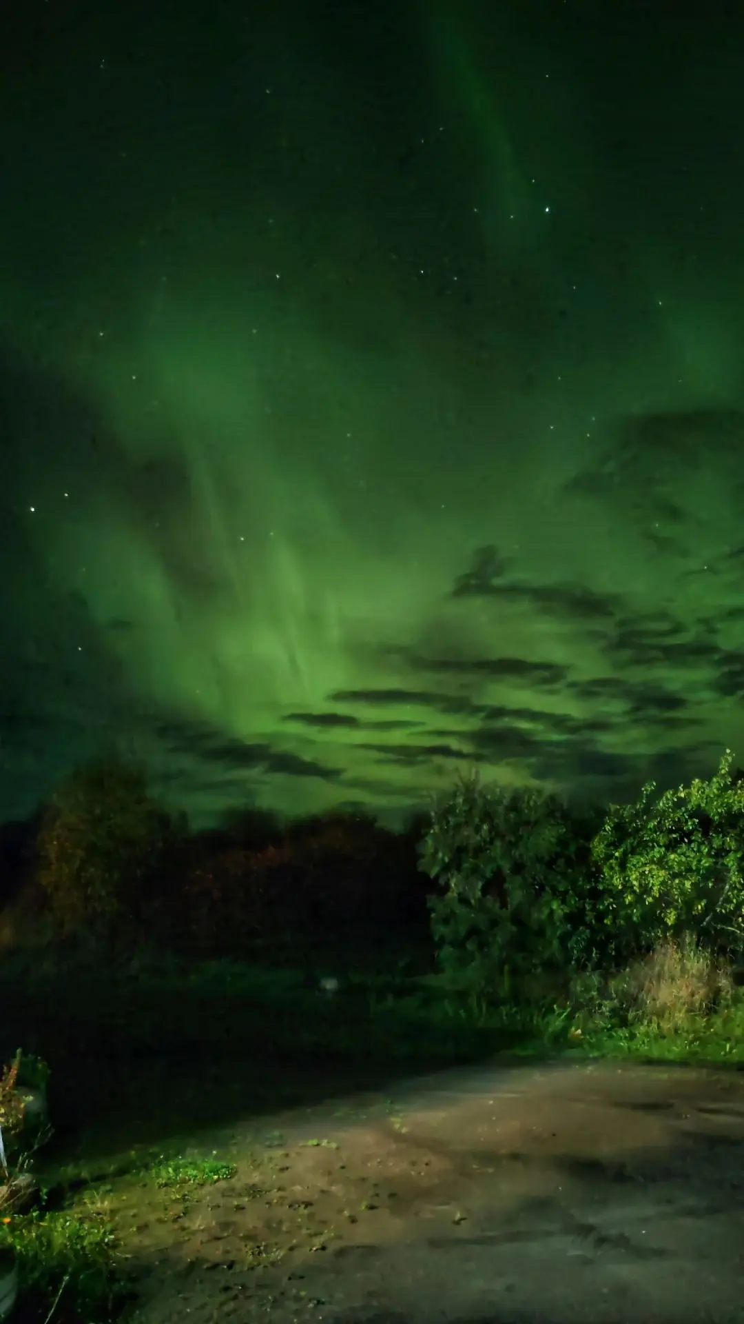 Северное сияние озарило небо над Карелией✨