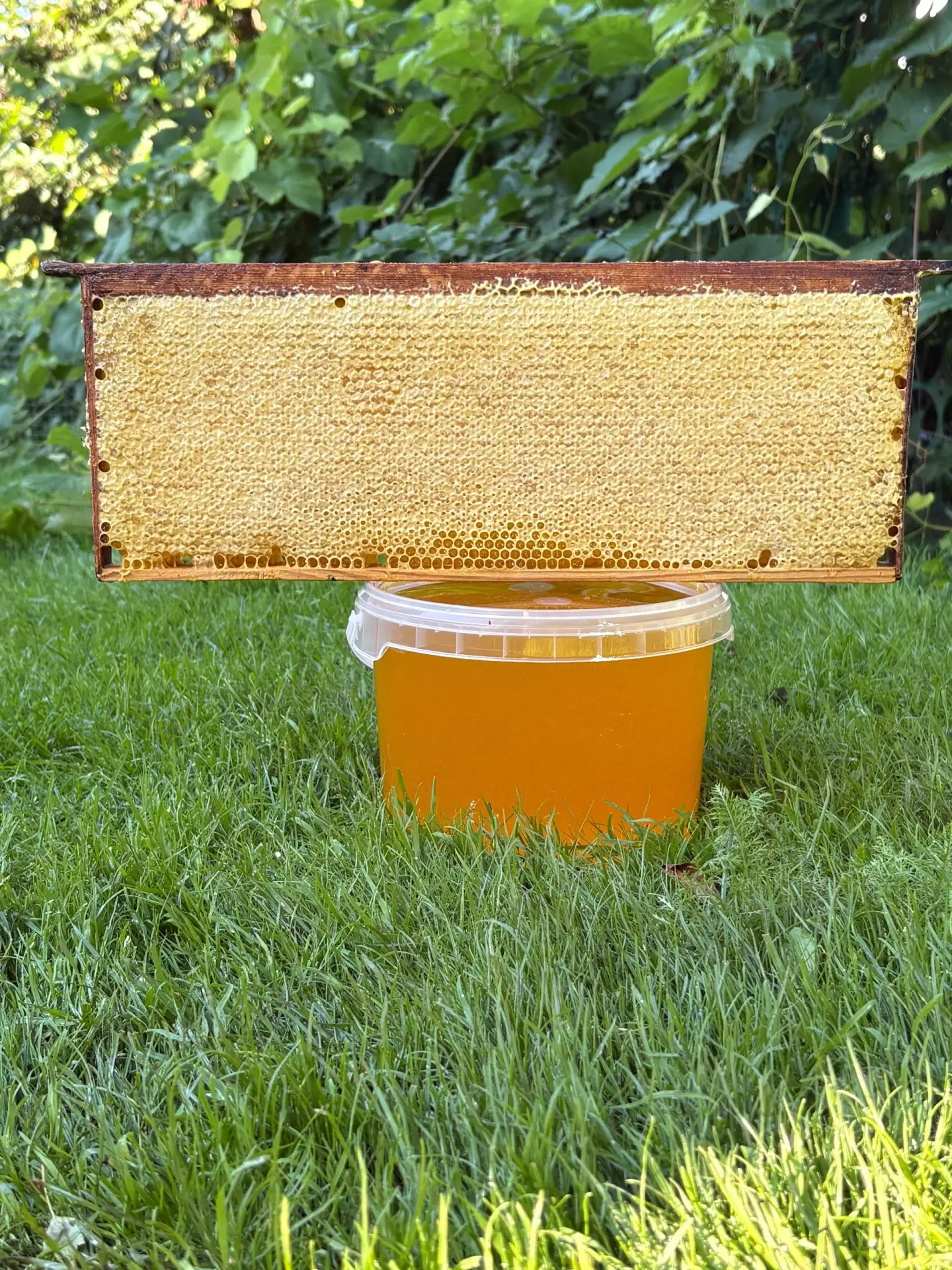 🐝✨Добрый день .