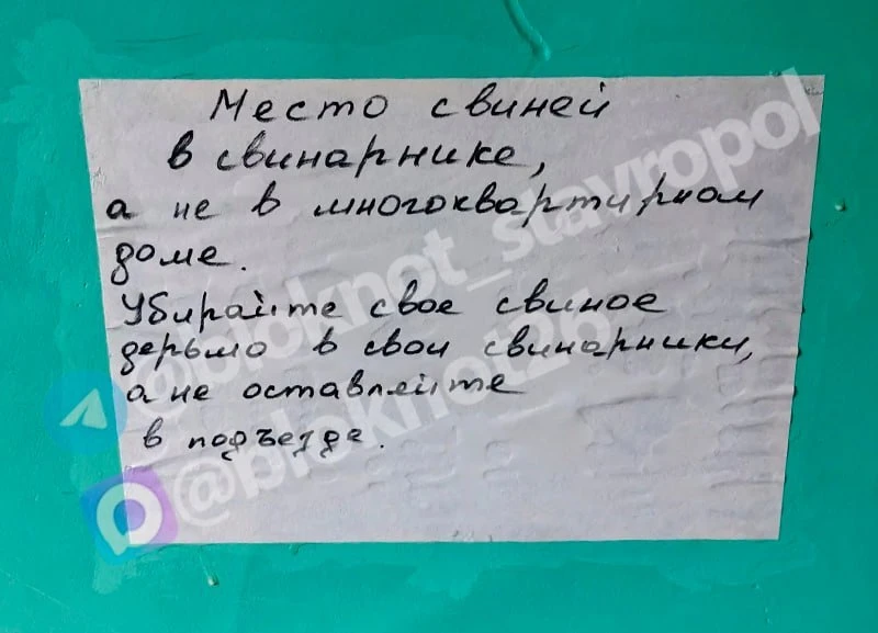 🤬 «В страхе живем, что завтра машину подожжет»: жильцы на Ботаническом в Ставрополе жа...