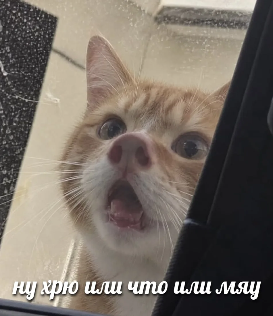 Ставь лайк! ❤️