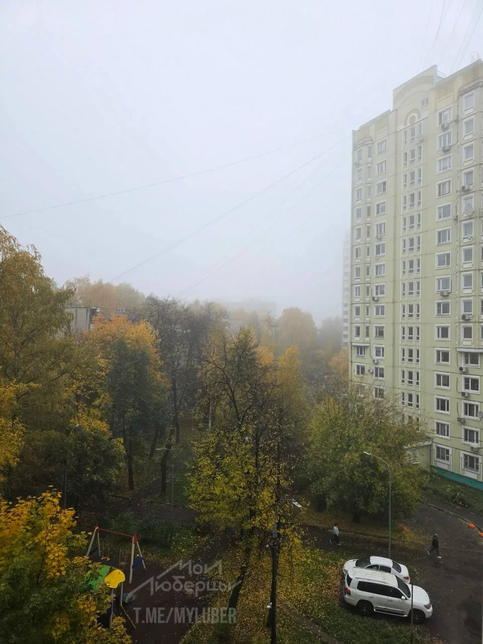 Утренние туманные кадры с особой атмосферой от подписчиков канала Мои Люберцы.