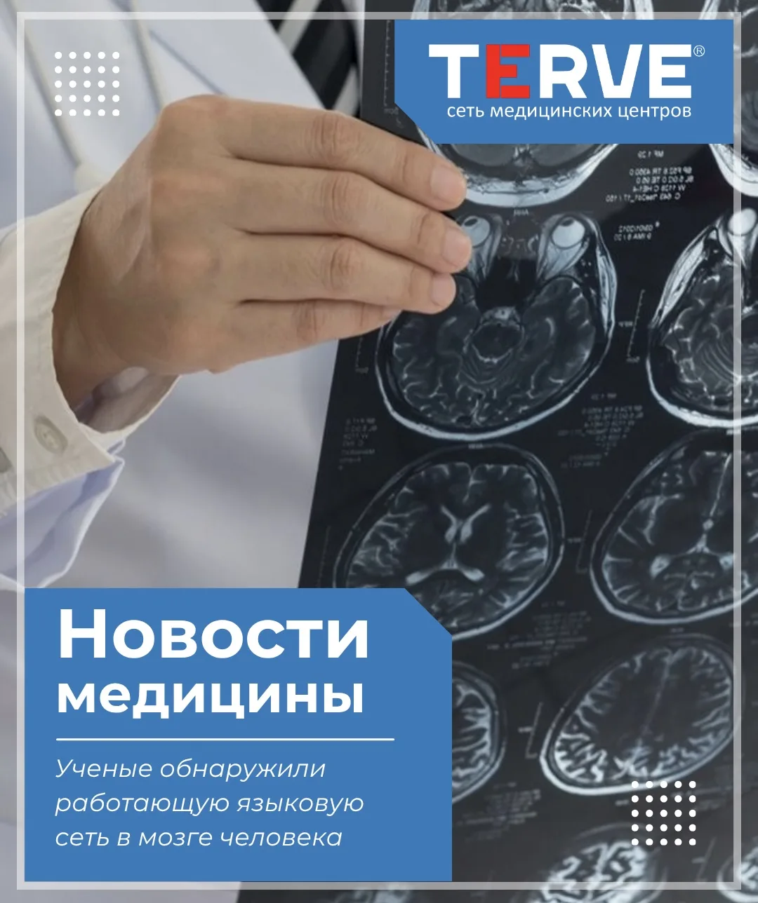 Ученые обнаружили постоянно работающую языковую сеть в мозге человека 🧠