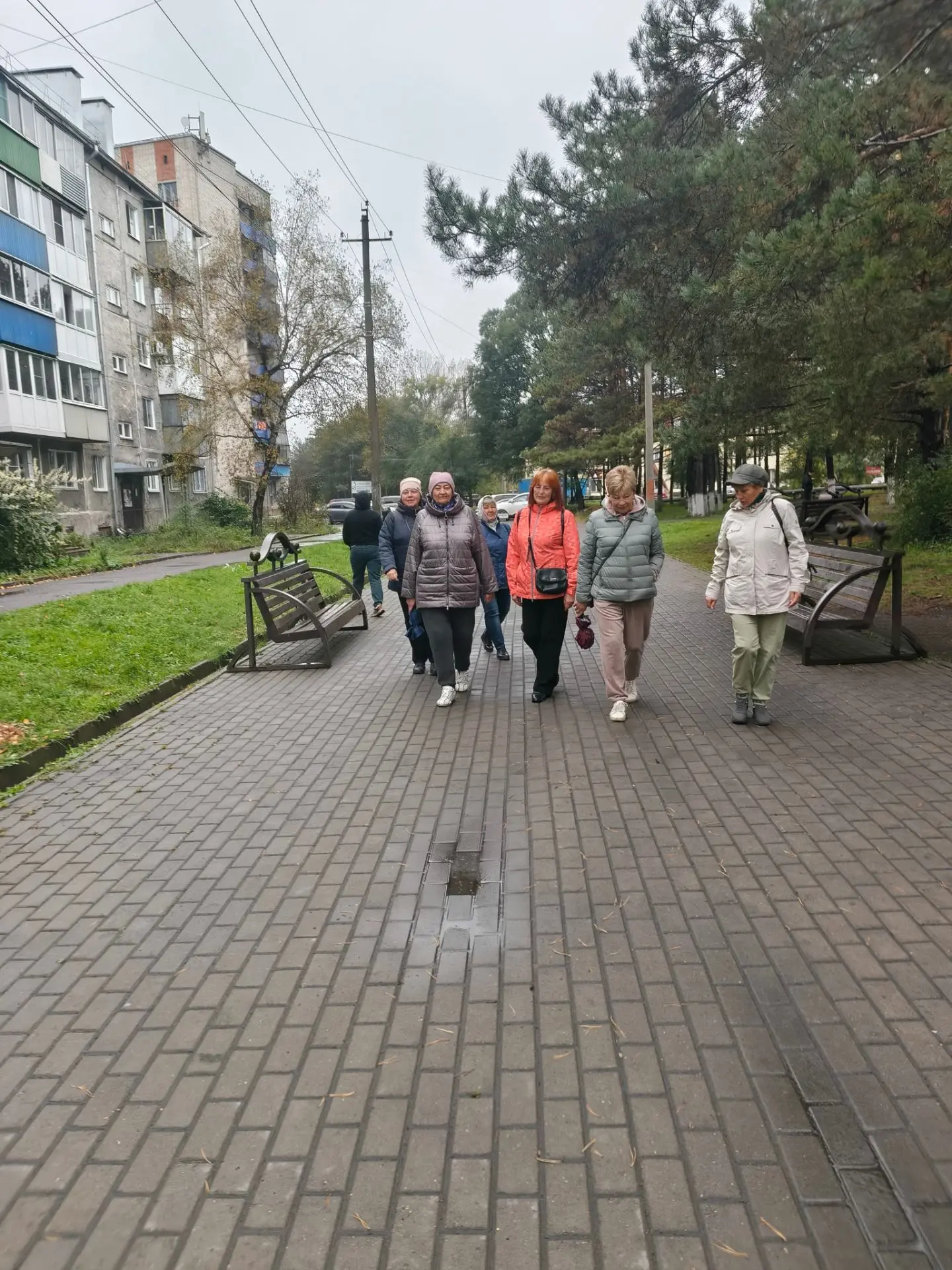 Акция «10 000 шагов» прошла в Мысках