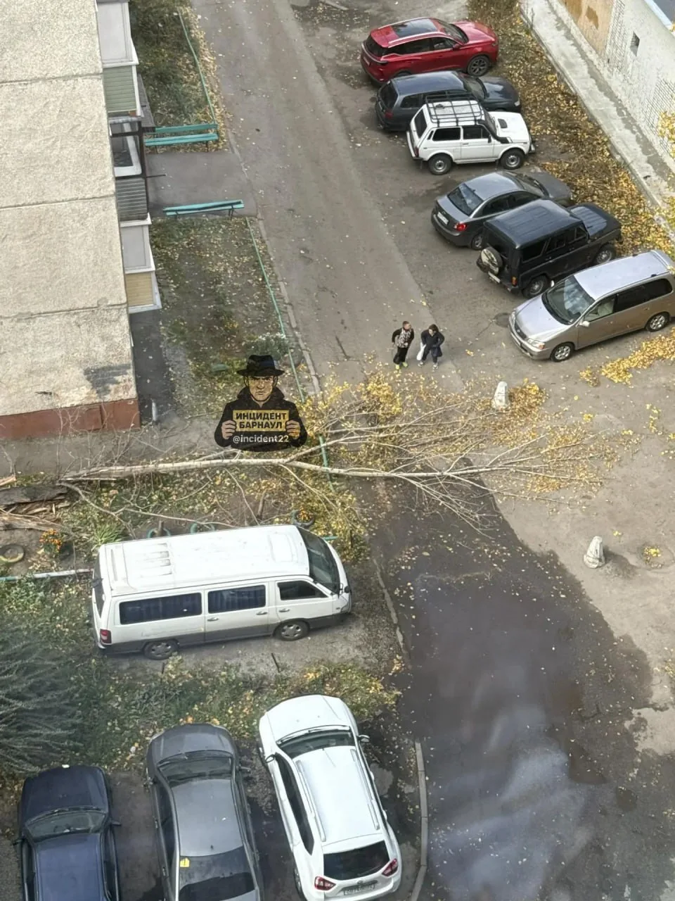 У дома на Георгия Исакова упало дерево, прямо перед детьми, которые шли со школы.
