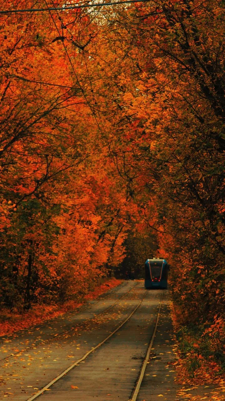 🍂 Осенняя Москва на Большой Оленьей улице!