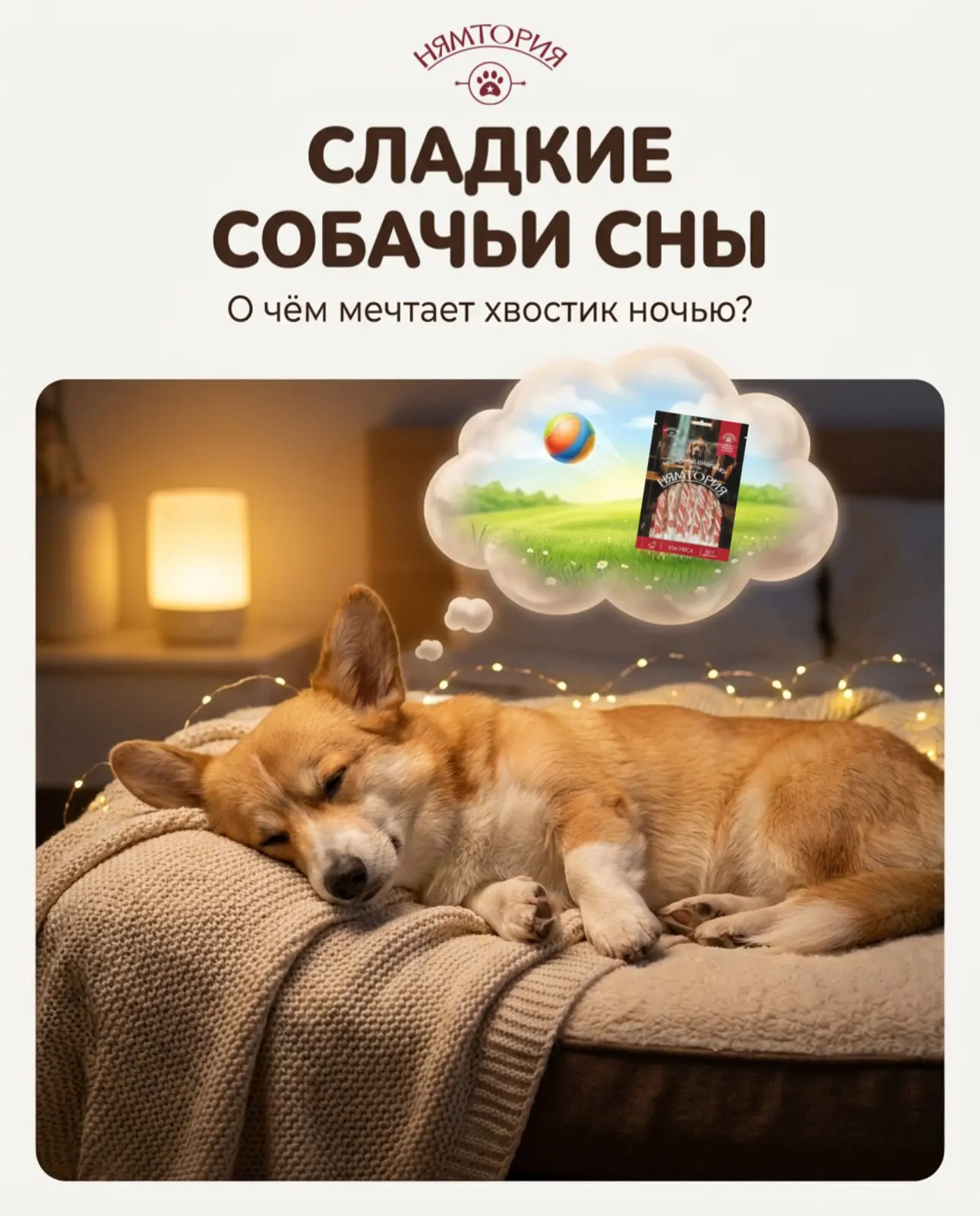 Что снится хвостикам, когда весь дом спит? 🌙