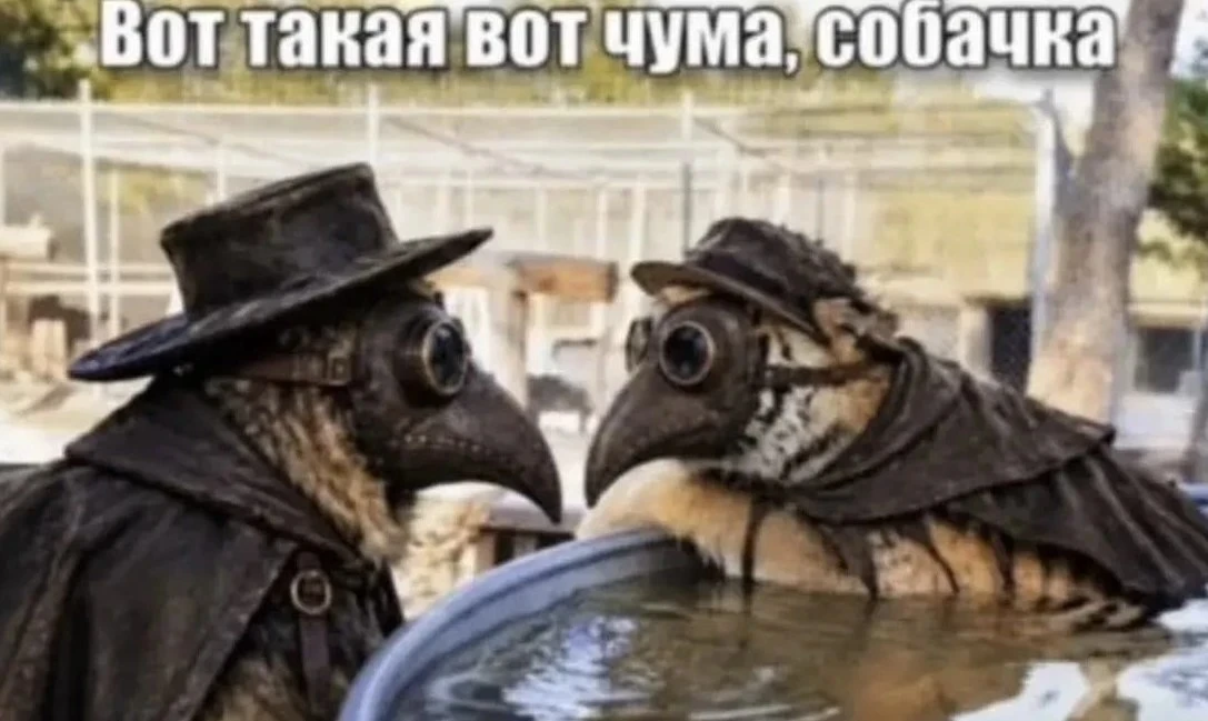 История с чумой-пневмонией в Приангарье закрыта