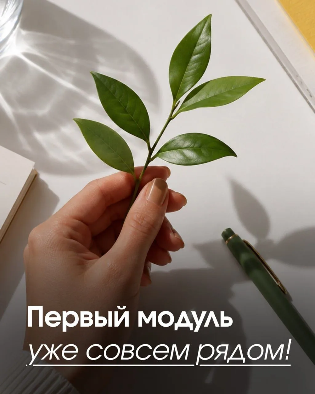 Коллеги, важные новости — уже в эти выходные стартует 13 поток базового сертификационно...