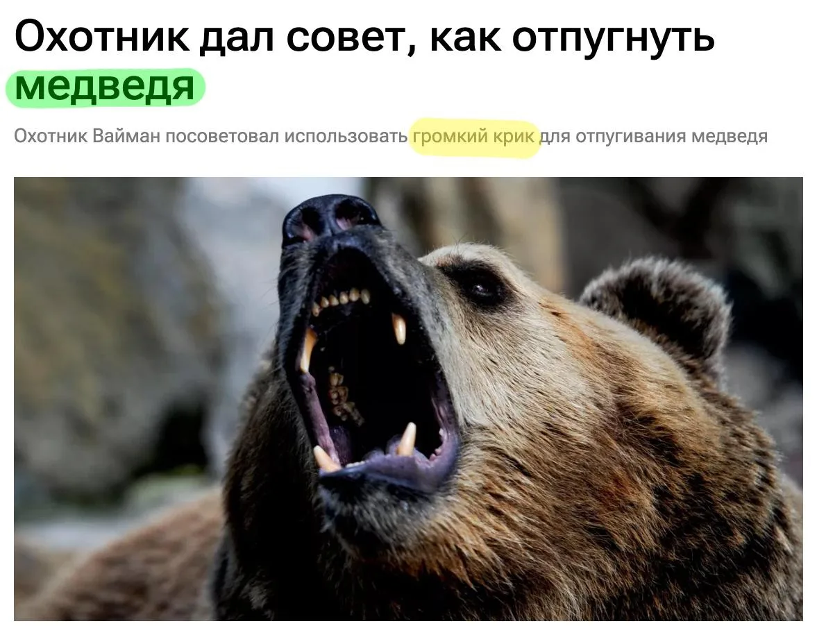🇷🇺 Жителям РФ посоветовали материться при встрече с медведем. По словам специалистов,...