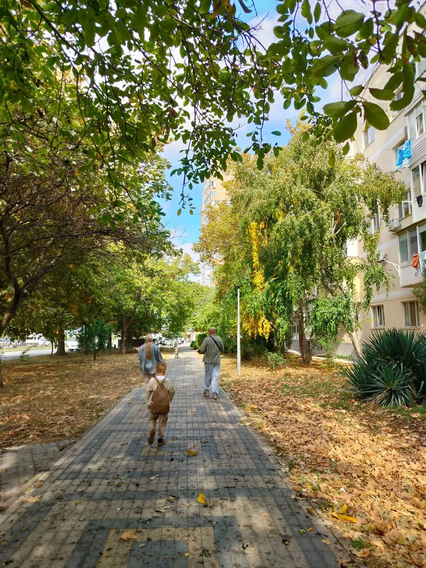 В Анапе сегодня почти лето🧡