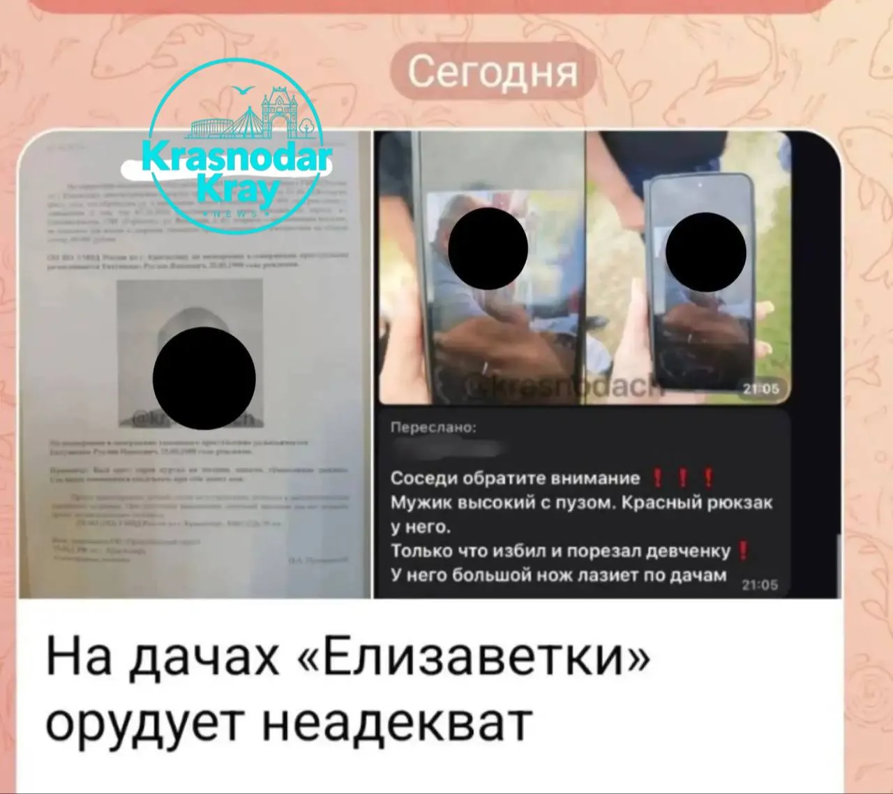 🚨 В станице Елизаветинской задержали подозреваемого в грабеже