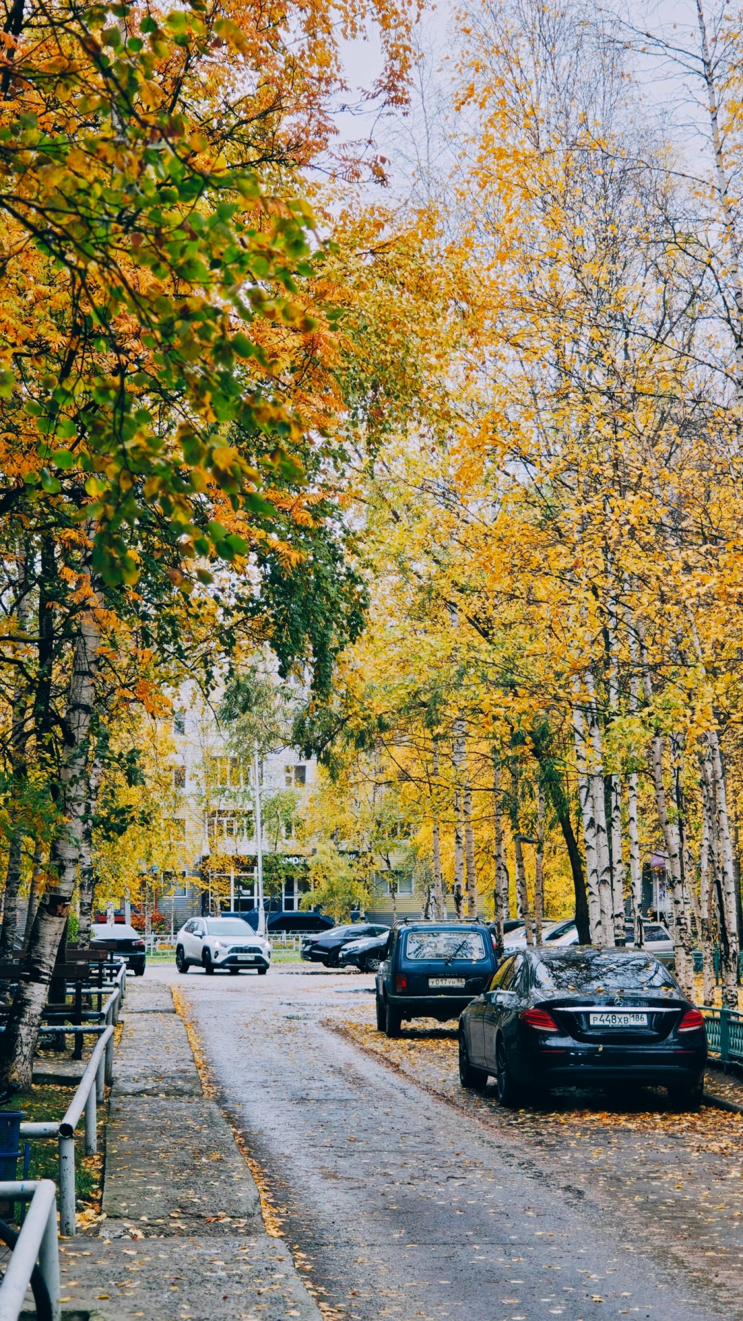 💛Сегодня, 9 октября, по народному календарю день Ивана Богослова🍂
