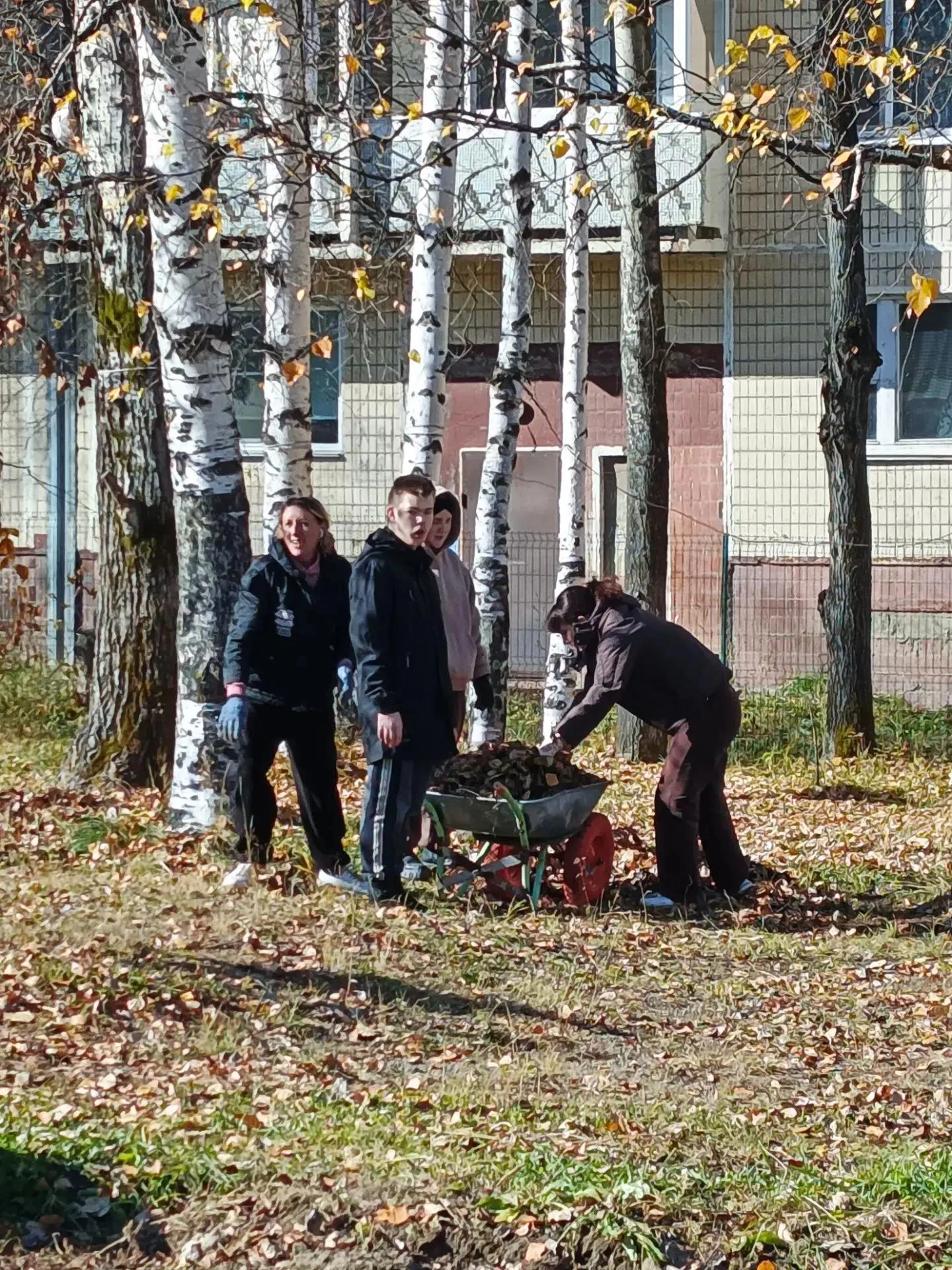 На прошлой неделе в ходе традиционного осеннего субботника, проведенного в нашем Центре...