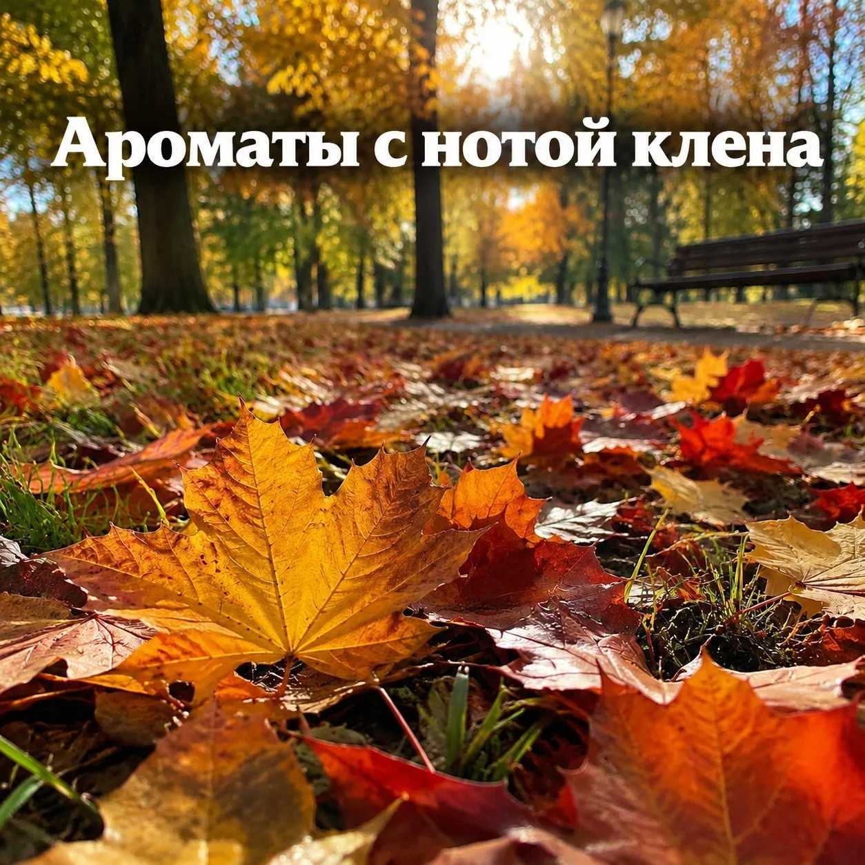 Клен ты мой опавший, то есть ежегодная подборка осенних кленовых ароматов.