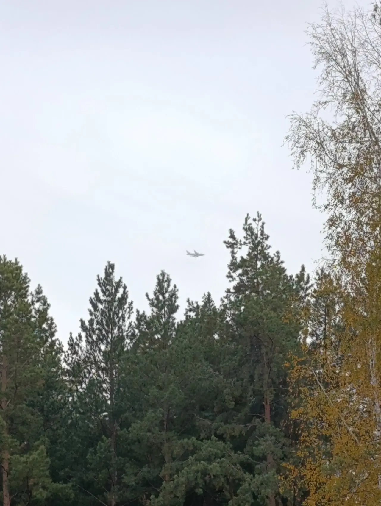 Асбестовцев напугал низколетящий самолет