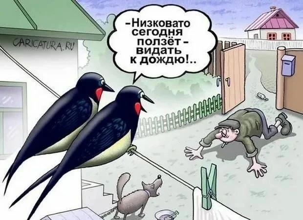 Народные приметы☺️🙃