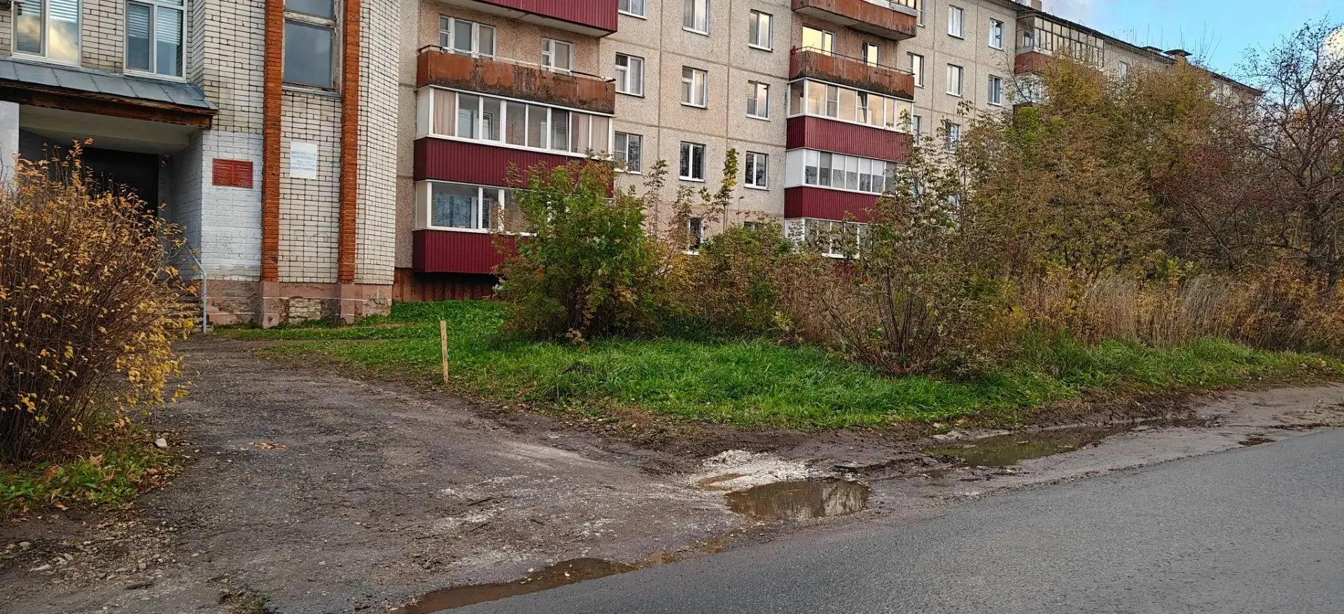 #хорошиеНовости