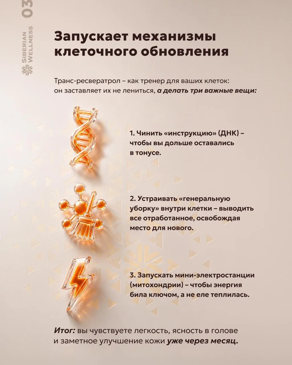 🌟 Вот что происходит с организмом после применения транс-ресвератрола от Siberian Well...