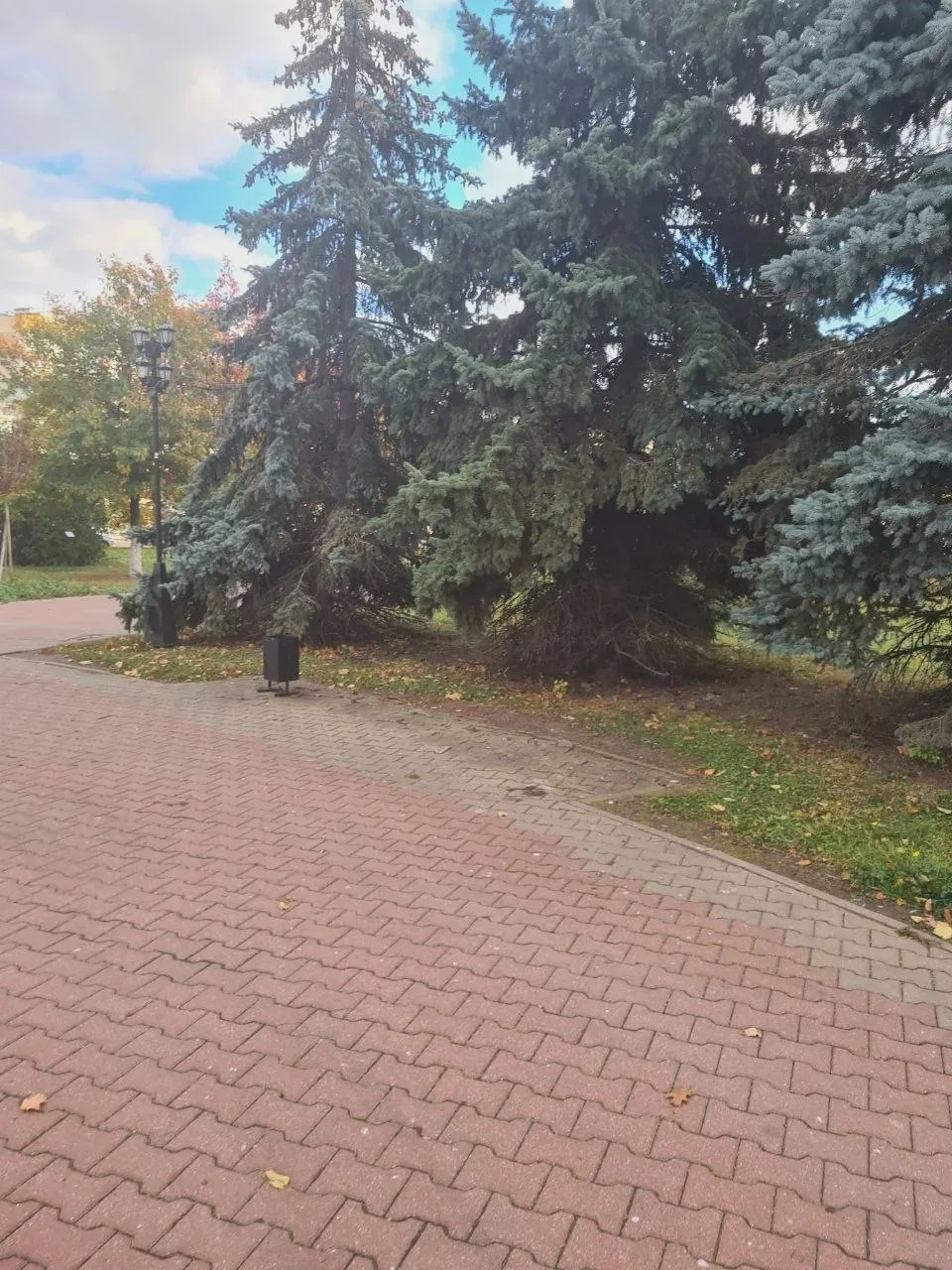 Сквер Ермолова — в центре Орла