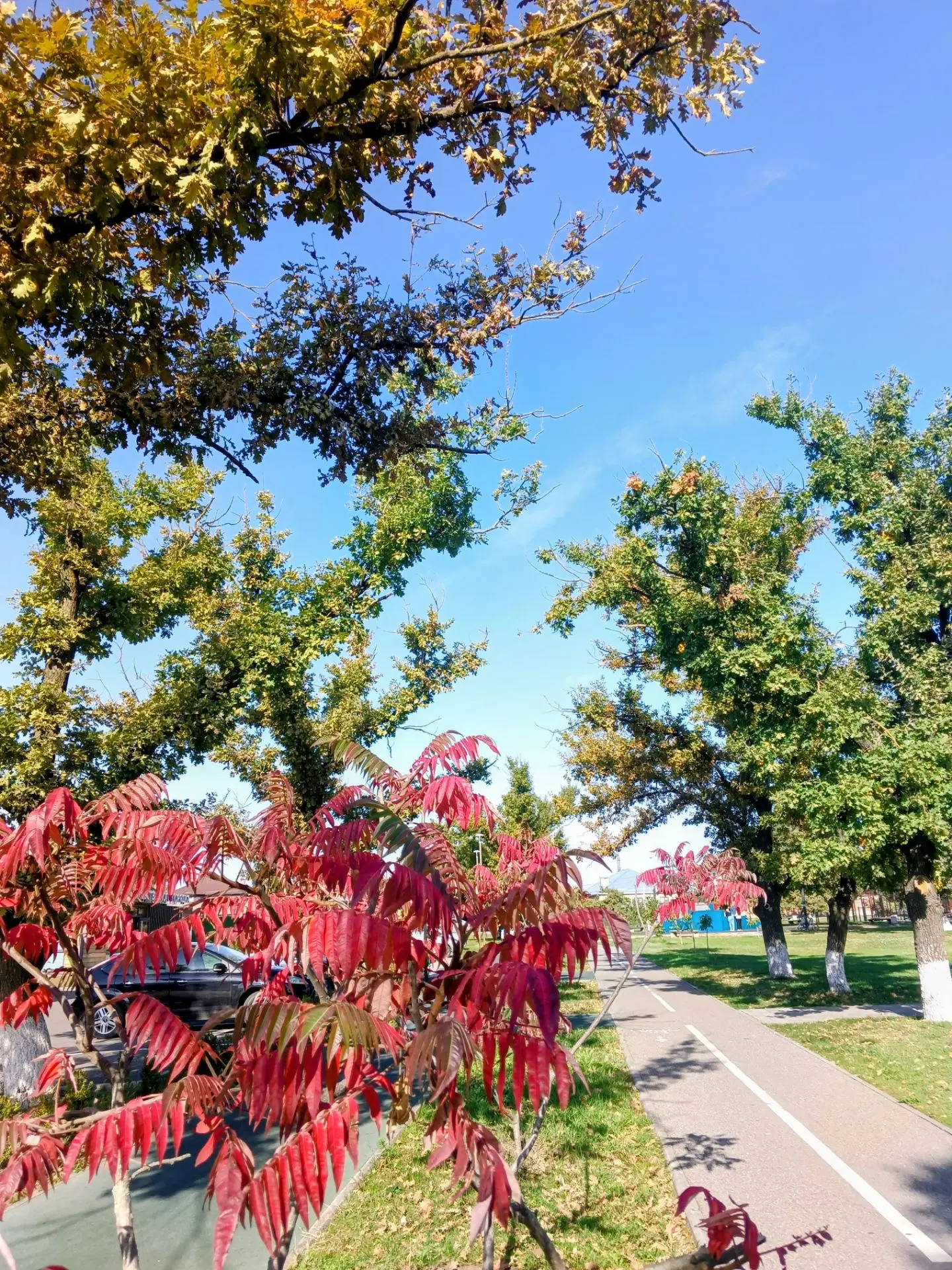 🍂 У нас настоящая золотая осень!