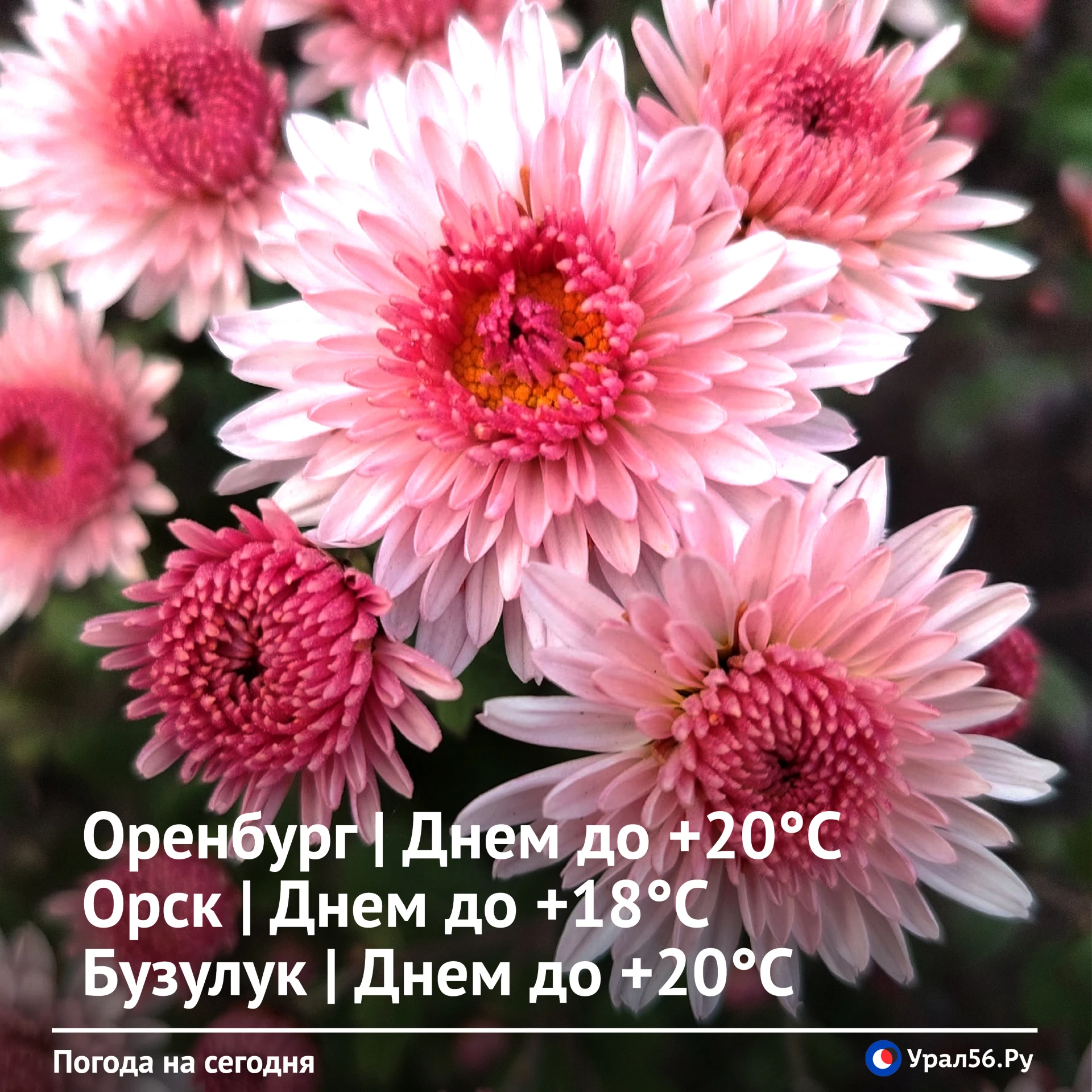 Доброе утро ☀️
