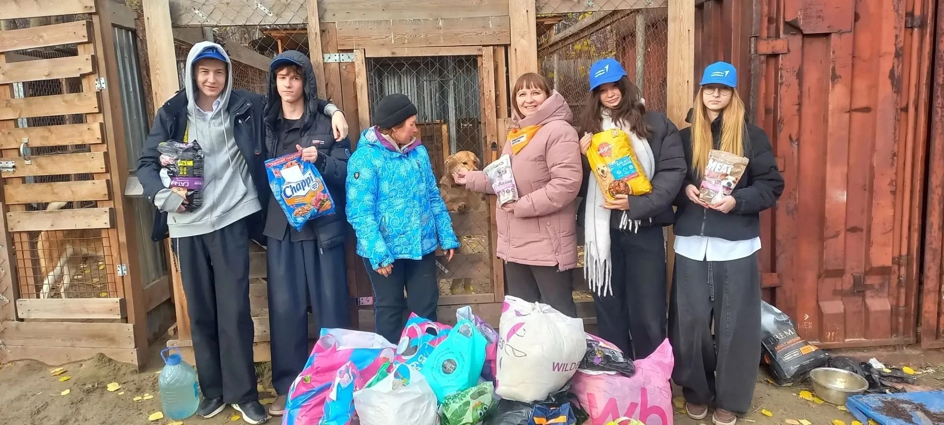 Маленькая помощь лохматому другу 🐾