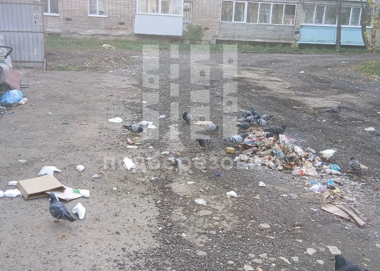 🗑️ Мусор вывезли, а за собой не убрали