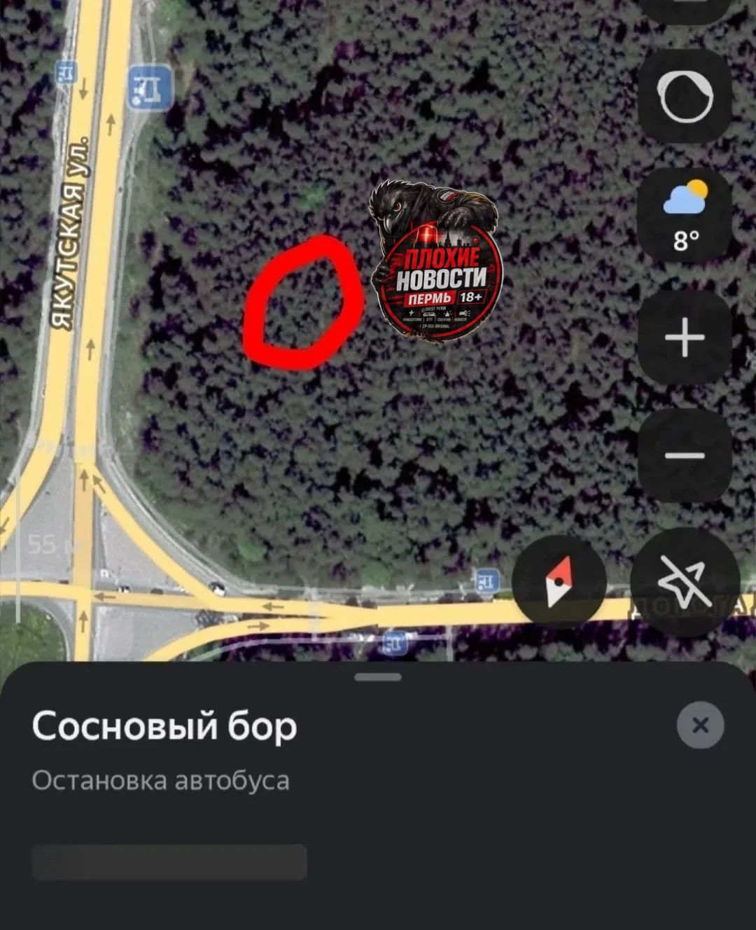 ⚠️ Мужчина напал на девушку возле остановки «Сосновый бор»