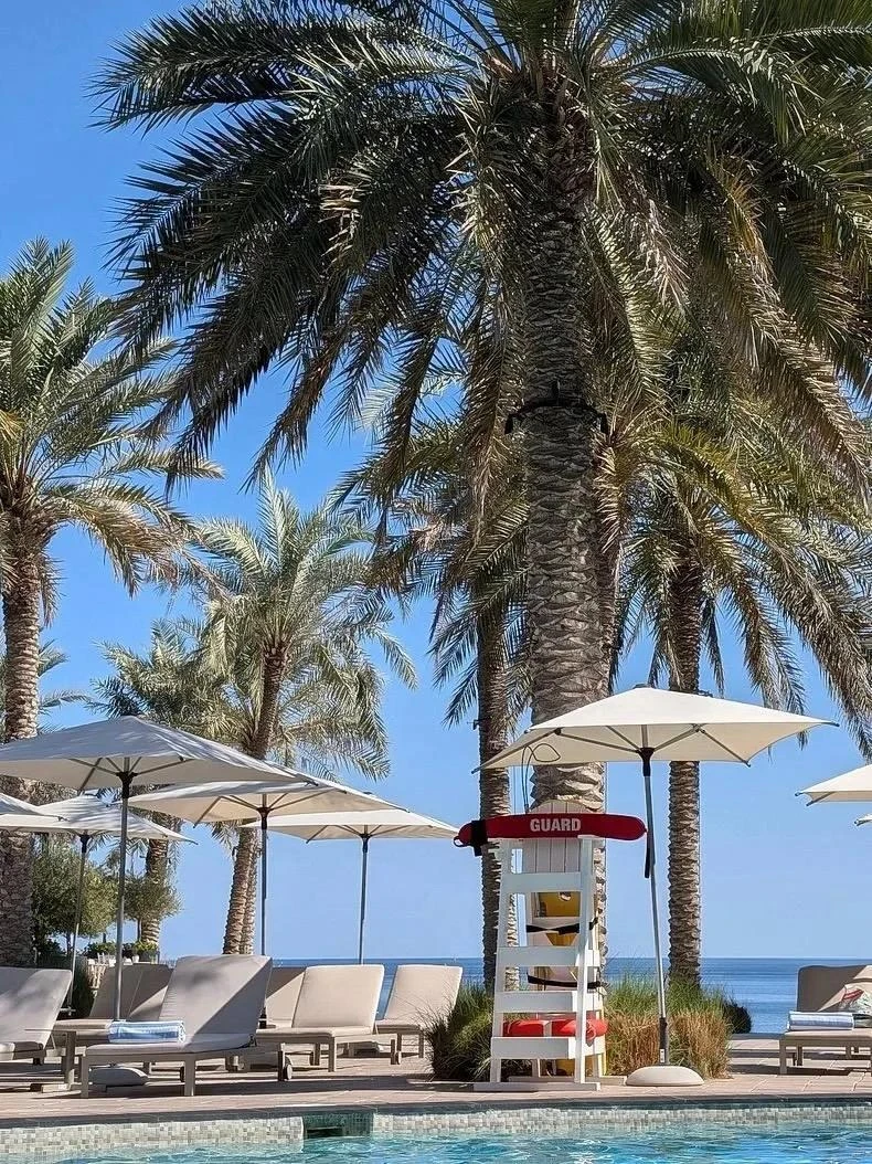 🇦🇪 Отель в Фуджейре с красивым пляжем, черепашками и видом на горы!
