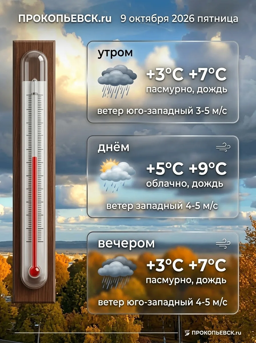 На пятницу синоптики вновь пообещали усиление ветра.