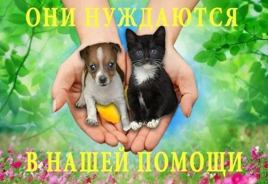 Добрые дела мы делаем вместе!