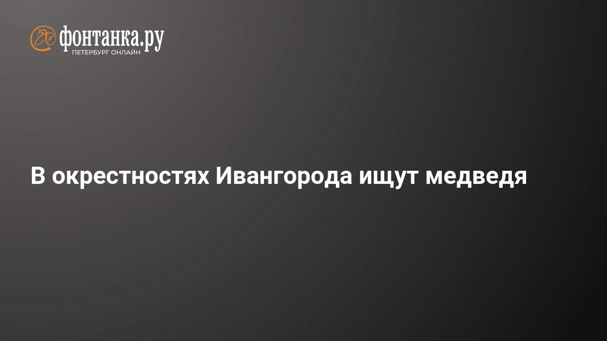 ❗ Медведь в Ленинградской области: ищут хищника в окрестностях Ивангорода