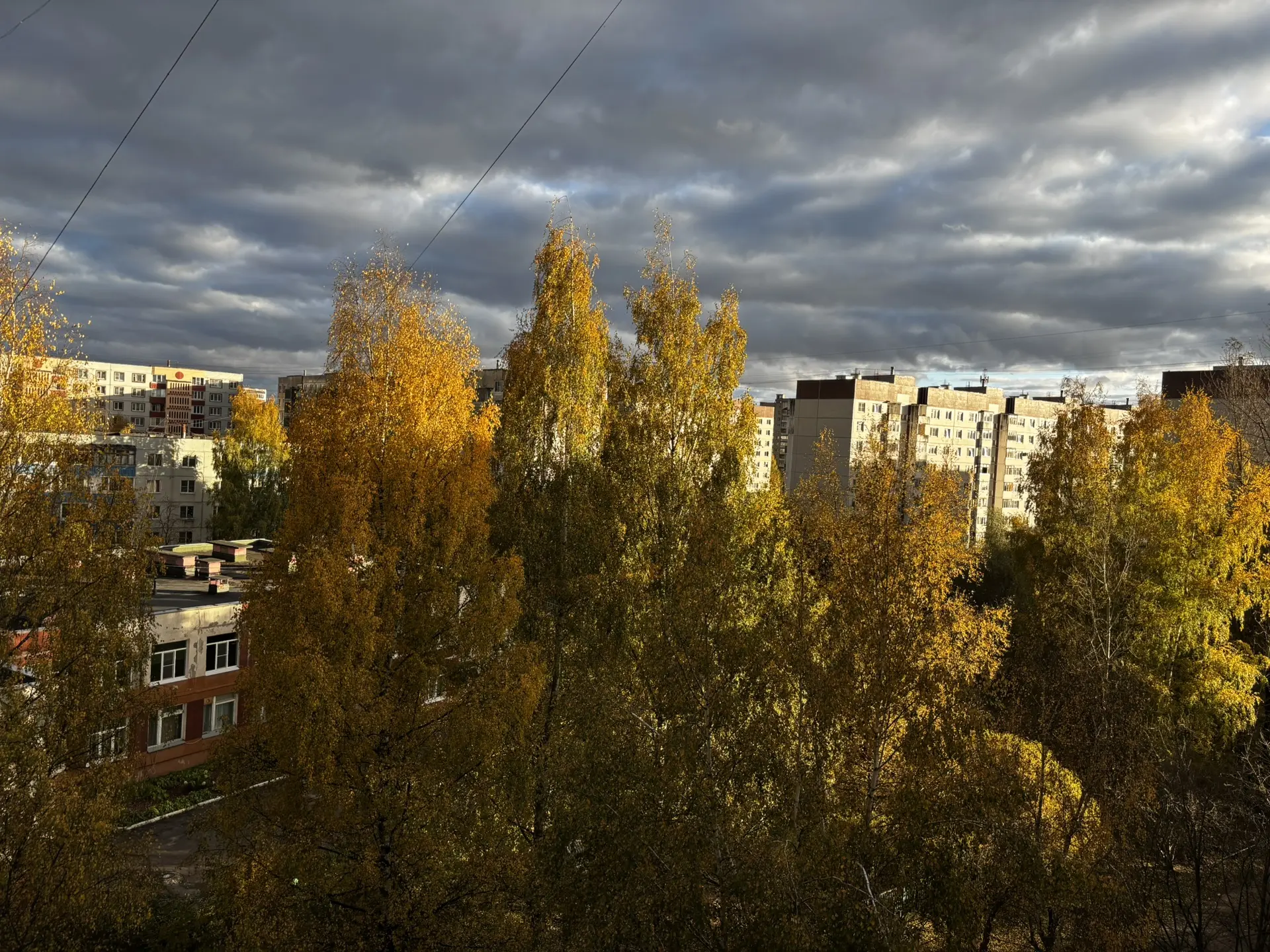 🍂 ОСЕНЬ. ВРЕМЯ, КОГДА МИР СТАНОВИТСЯ ТОНЬШЕ…