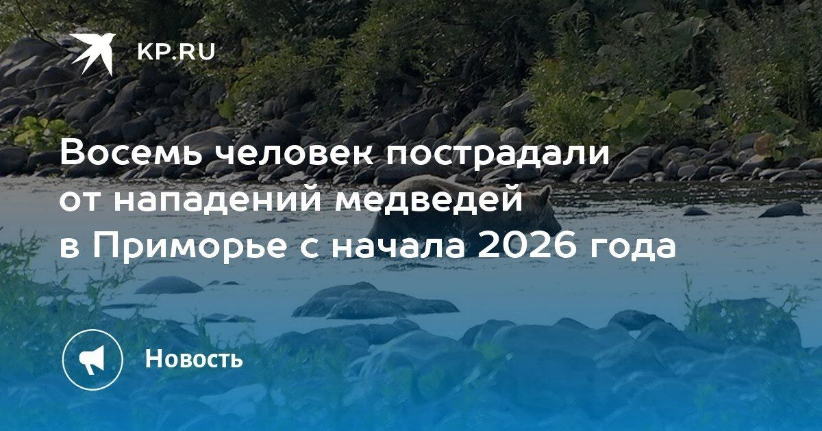 В Приморье с начала 2026 года зафиксировано восемь нападений медведей на людей