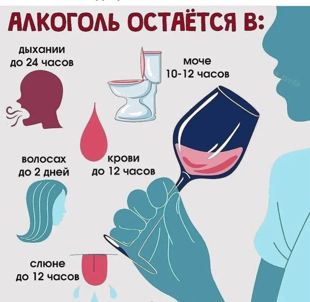 Сколько алкоголь останется в организме 🍷