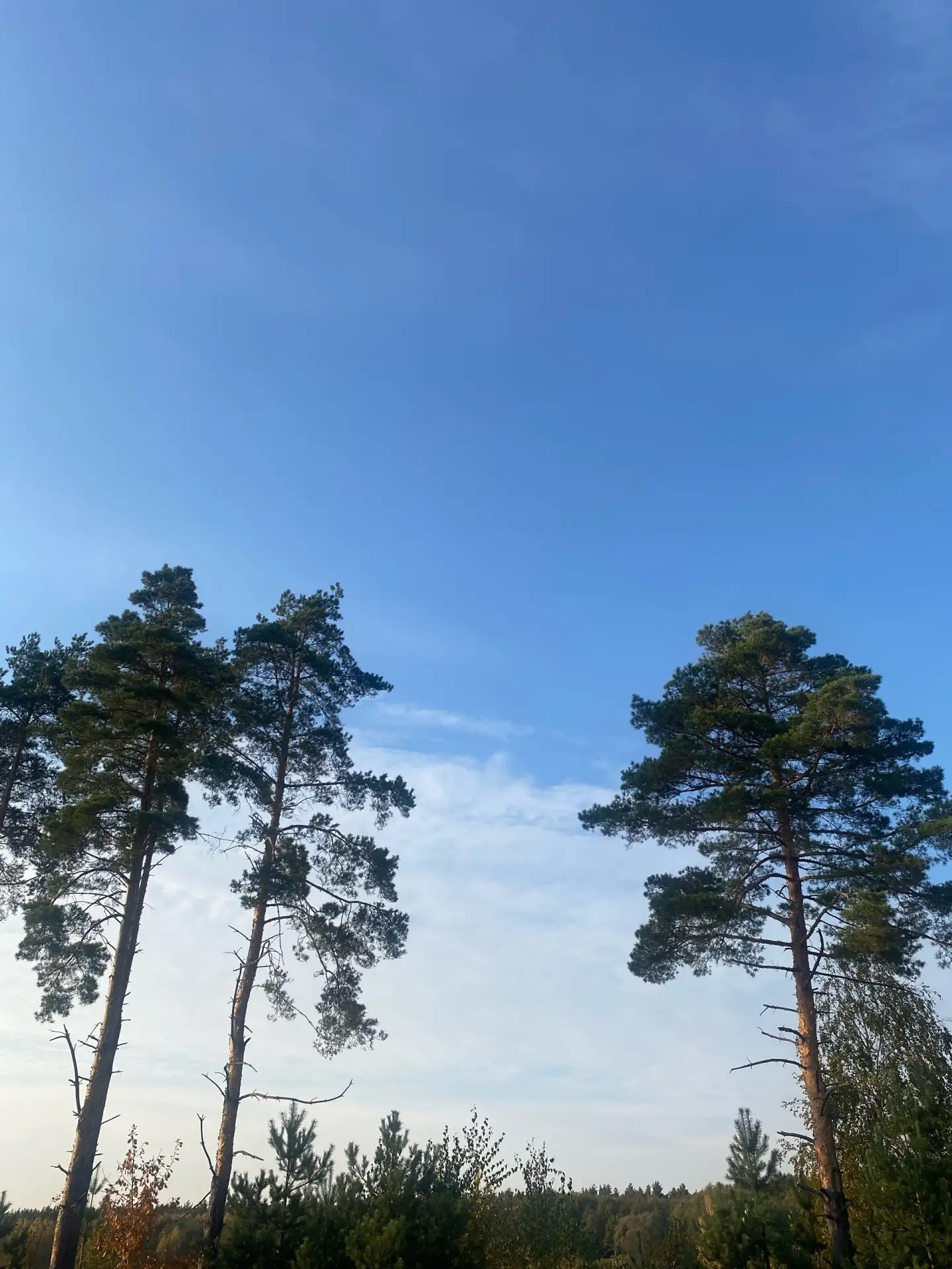 Доброе утро, Луховицы!