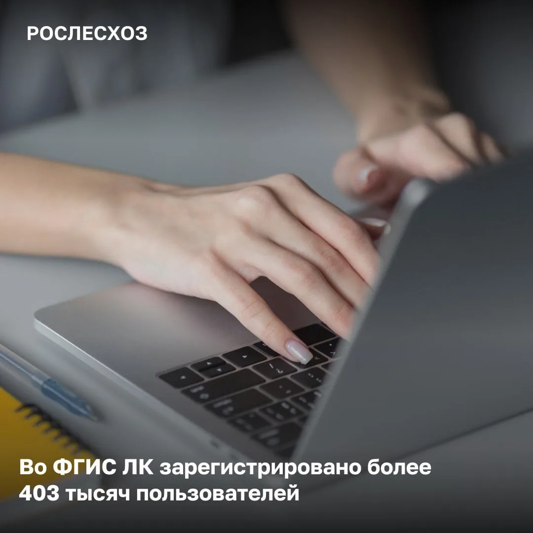 📱Во ФГИС Лесного комплекса зарегистрировано более 403 тыс. пользователей. Из них – лес...