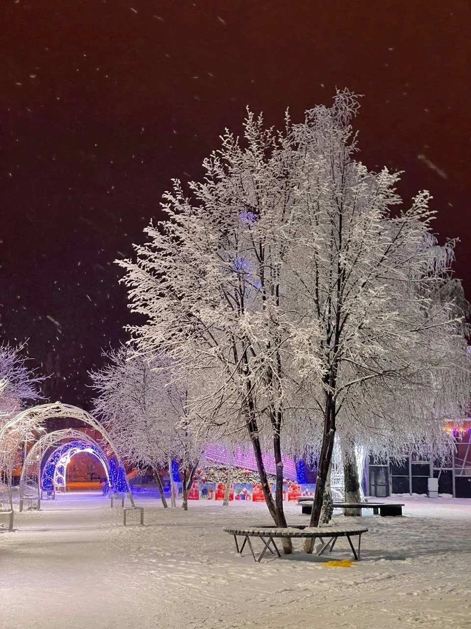 ❄ Зима в России будет теплой или даже бесснежной — климатологи