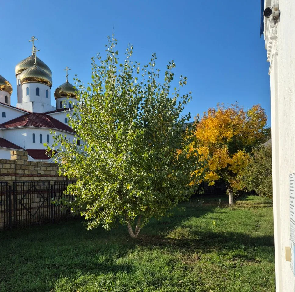 Красивая осень😍🍂