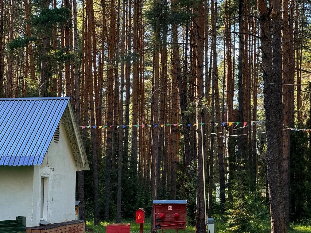 В Кировской области летом отдохнули более 57 тыс. детей 🎒