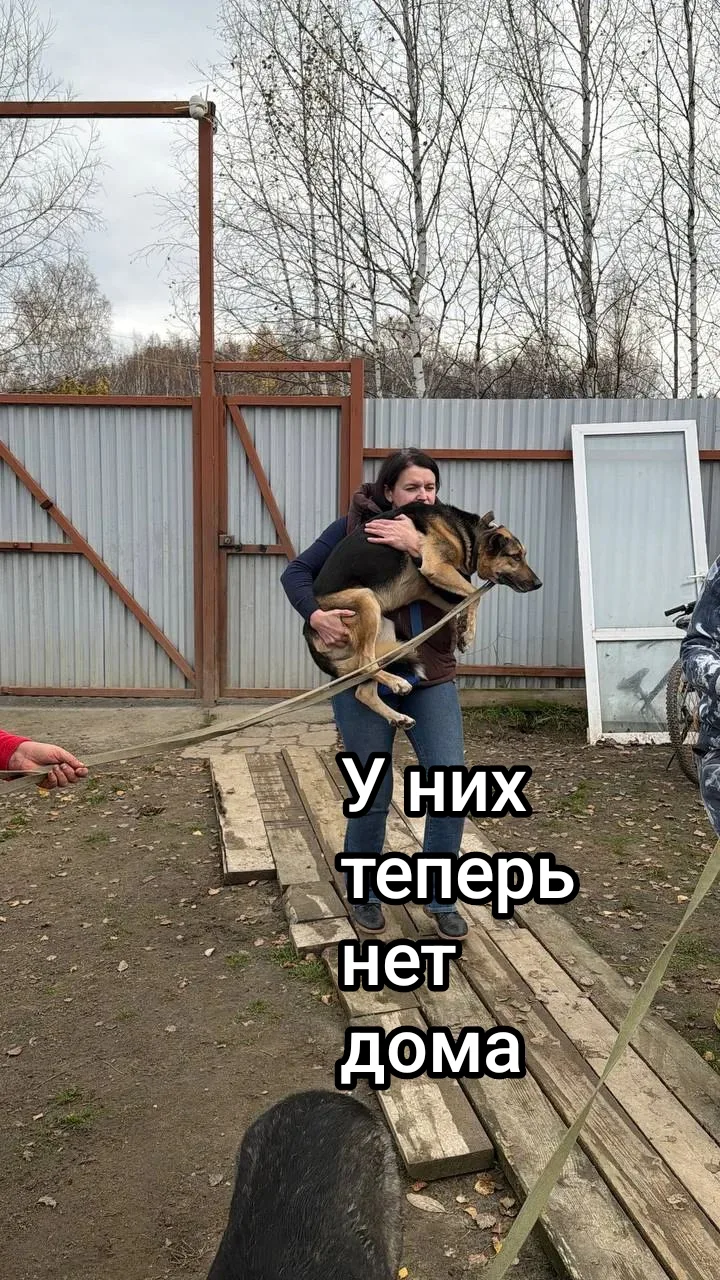 Друзья, на связи админ. 🖤