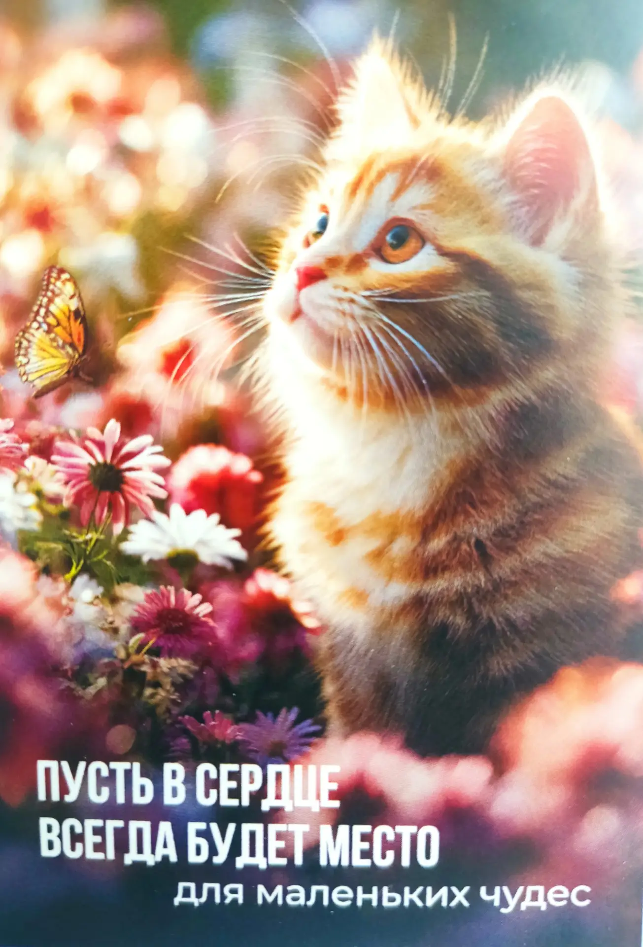 Доброе утро