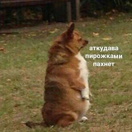 Чтоо?! Худеть, пока спишь? 👀🧠